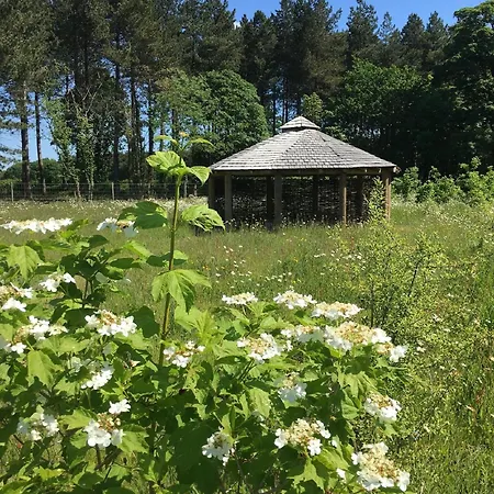 Hollicarrs - Thistle Tatil Evi